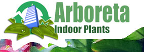 Arboreta Indoor Plants