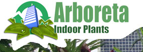 Arboreta Indoor Plants